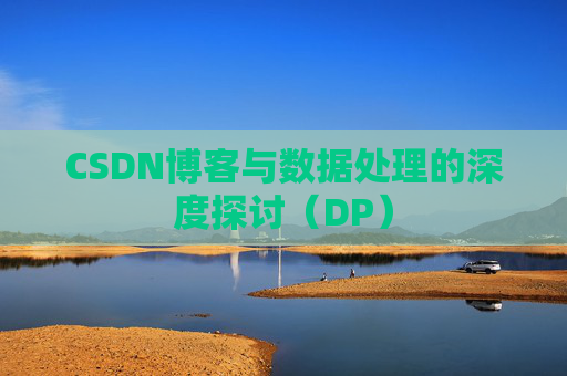 CSDN博客与数据处理的深度探讨（DP）